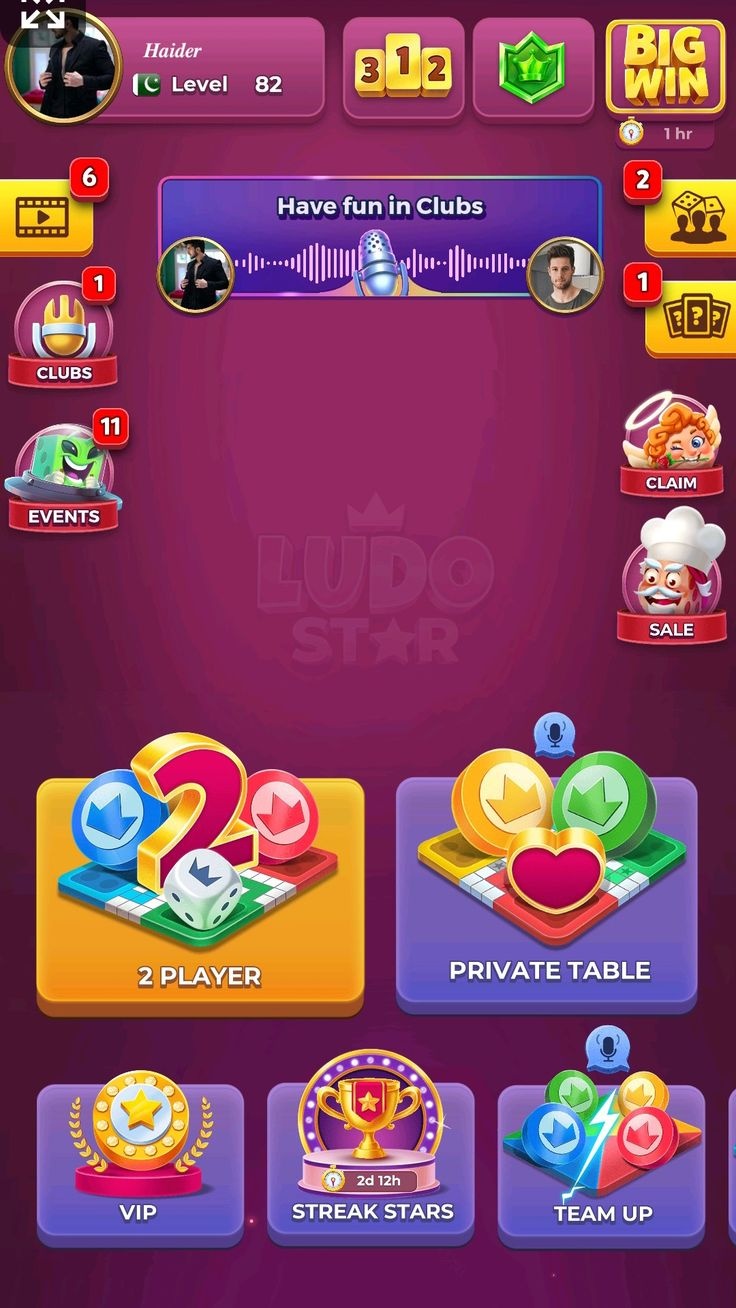 3PattiLudo game